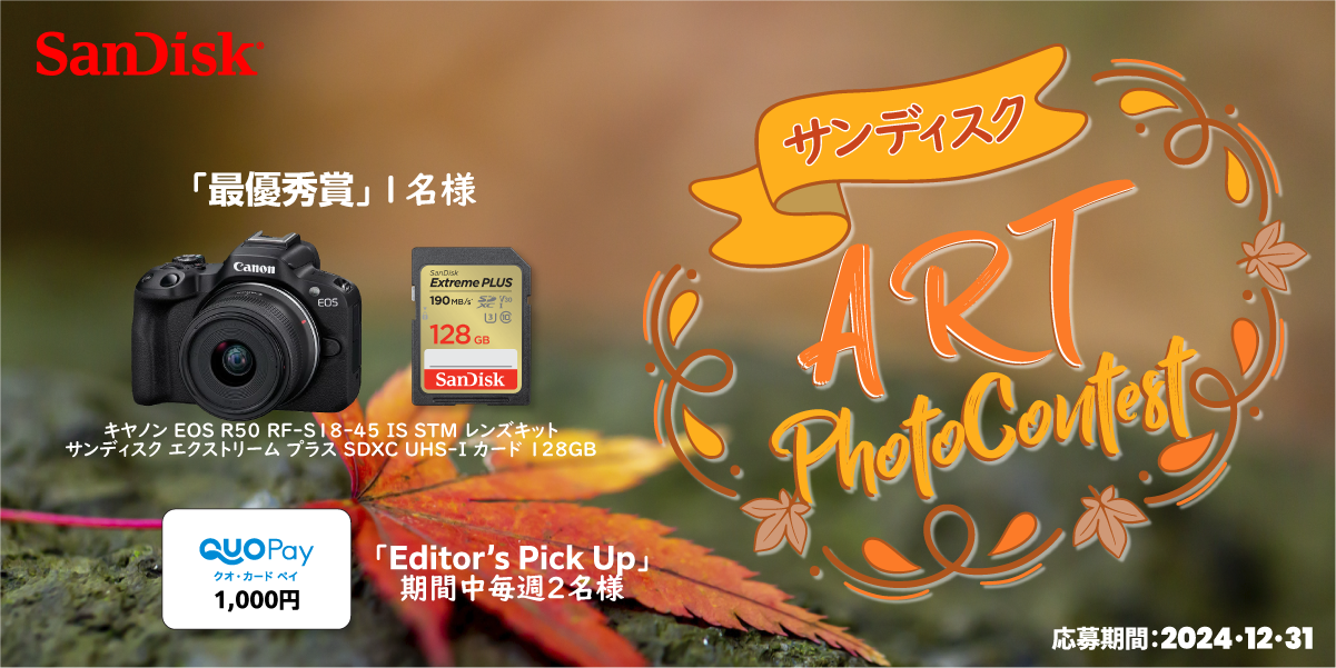 サンディスク 「ART」フォトコンテスト