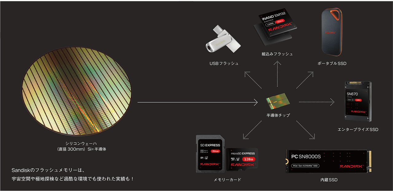 フラッシュイメージ1